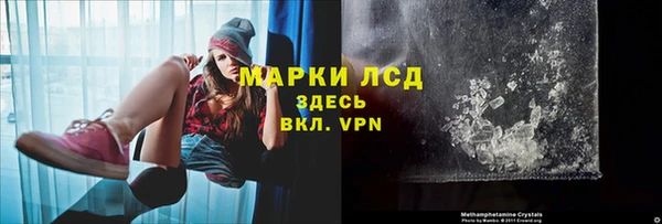 ПСИЛОЦИБИНОВЫЕ ГРИБЫ Алексеевка