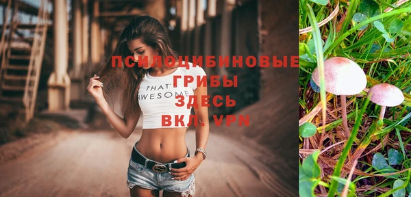 а пвп мука Алзамай