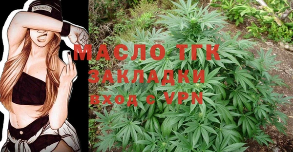 крисы Абаза