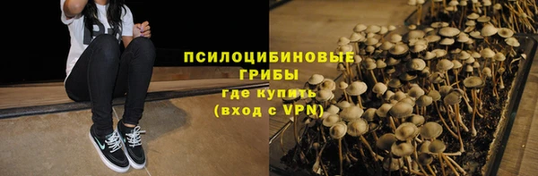 синтетический гашиш Алексин